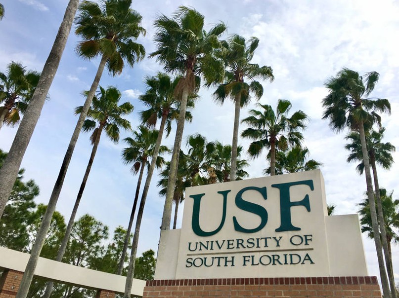 Two New Positions at the University of South Florida