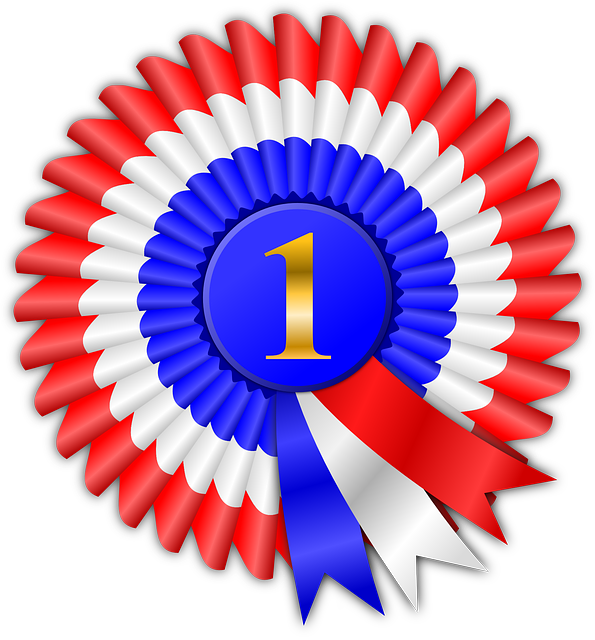 Call for Nominations: DGS 2021 Distinguished Service Award